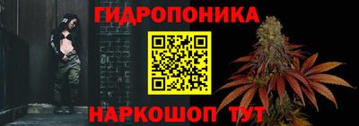 jwh Будённовск
