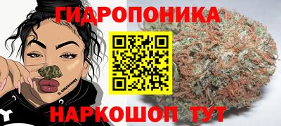 jwh Будённовск