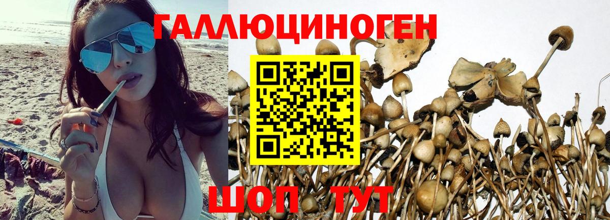 Темрюк  Псилоцибиновые грибы мицелий  Вход с VPN 
